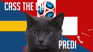 گربه پیشگو جام جهانی روسیه برد سوید را در مقابل سوییس پیش گویی کرد