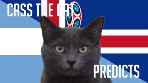گربه پیش گو جام جهانی روسیه برد آرژانتین را در مقابل ایسلند پیش گویی کرد