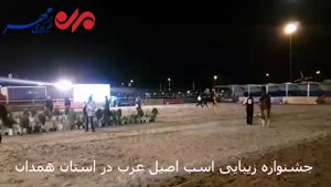 جشنواره زیبایی اسب اصیل عرب در استان همدان برگزار شد