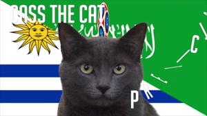 گربه پیشگو جام جهانی روسیه برد اروگویه را در مقابل عربستان سعودی پیش گویی کرد