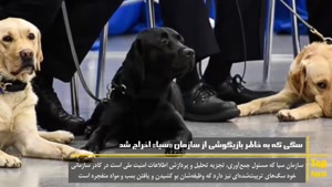 آیا میدانستید که سازمان سیا یا همان سازمان جاسوسی آمریکا اخیرا یک سگ را اخراج کرده است؟
