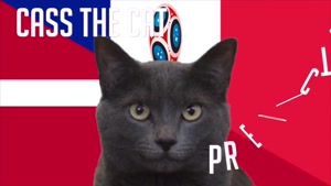 گربه پیشگو جام جهانی روسیه برد فرانسه را در مقابل دانمارک پیش گویی کرد