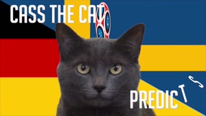 گربه پیشگو جام جهانی روسیه برد آلمان را در مقابل سوید پیش گویی کرد