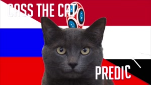 گربه پیشگو جام جهانی روسیه برد مصر را در مقابل روسیه پیش گویی کرد