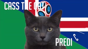 گربه پیشگو جام جهانی روسیه برد ایسلند  را در مقابل نیجریه  پیش گویی کرد