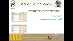 مرغوب ترین تخم نطفه دار غاز در ایران ، واکسینه و سالم
