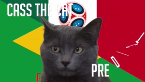 گربه پیشگو جام جهانی روسیه برد مکزیک را در مقابل برزیل پیش گویی کرد