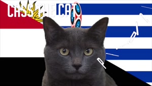 گربه پیشگو جام جهانی روسیه برد اروگویه را در مقابل مصر پیش گویی کرد