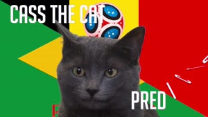 گربه پیشگو جام جهانی روسیه برد برزیل را در مقابل بلژیک پیش گویی کرد