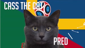 گربه پیشگو جام جهانی روسیه برد سوید را در مقابل مکزیک پیش گویی کرد