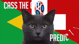 گربه پیشگو جام جهانی روسیه برد برزیل را در مقابل سوییس پیش گویی کرد