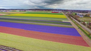فیلم برداری هوایی از کشور زیبای هلند