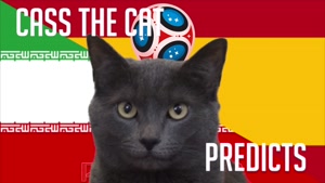 گربه پیشگو جام جهانی روسیه برد اسپانیا را در مقابل ایران پیش گویی کرد