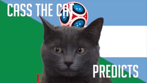 گربه پیشگو جام جهانی روسیه برد نیجریه را در مقابل آرژانتین پیش گویی کرد