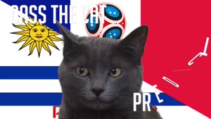 گربه پیشگو جام جهانی روسیه برد فرانسه را در مقابل اروگویه پیش گویی کرد