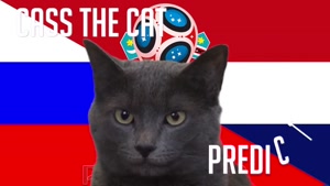 گربه پیشگو جام جهانی روسیه برد کرواسی را در مقابل روسیه پیش گویی کرد
