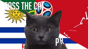 گربه پیشگو جام جهانی روسیه برد پرتغال را در مقابل اروگویه پیش گویی کرد