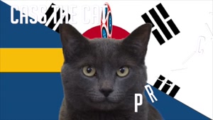 گربه پیشگو جام جهانی روسیه برد کره جنوبی را در مقابل سوید پیش گویی کرد