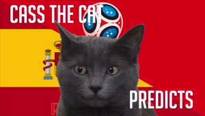 گربه پیشگو جام جهانی روسیه برد مراکش را در مقابل اسپانیا پیش گویی کرد