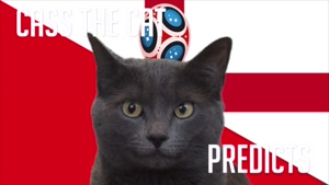 گربه پیشگو جام جهانی روسیه برد انگلیس را در مقابل تونس پیش گویی کرد