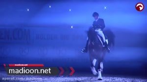 نمایشی زیبا با اسب در مسابقات اسب سواری دانمارک