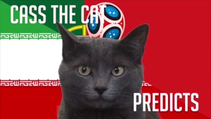 گربه پیشگو جام جهانی روسیه برد پرتغال را در مقابل ایران پیش گویی کرد