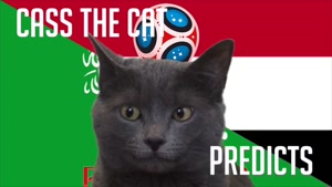 گربه پیشگو جام جهانی روسیه برد مصر را در مقابل عربستان سعودی پیش گویی کرد
