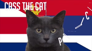 گربه پیشگو جام جهانی روسیه برد کاستاریکا را در مقابل صربستان پیش گویی کرد