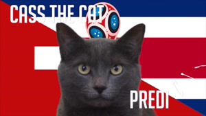 گربه پیشگو جام جهانی روسیه برد کاستاریکا را در مقابل سوییس پیش گویی کرد