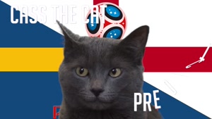 گربه پیشگو جام جهانی روسیه برد انگلیس را در مقابل سوید پیش گویی کرد