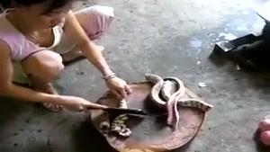 فروختن گوشت مار در تایلند و اسلایس کردن