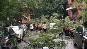 بی سابقه ترین طوفان در مونترال کانادا - از قطعی برق تا سقوط درختان
