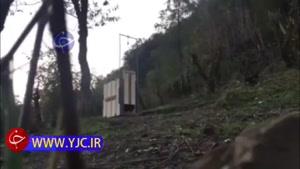 رهاسازی یک پلنگ پس از درمان در جنگل رودسر