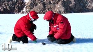 چیزهای اسرارآمیز و مدفون شده در یخ های قطب جنوب