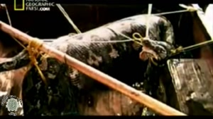 مستند حیات وحش دوبله فارسی  این قسمت مارهای غول پیکر آدم خوار