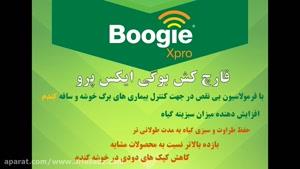 ضد قارچ صد درصد تضمینی برای گندم بوگی ایکس پرو |  Boogie xpro
