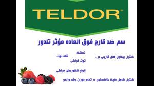 قارچ کش تلدور | teldor مبارزه تمام عیار با قارچ توت فرنگی و انگور