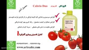 قارچ کش اختصاصی گوجه فرنگی | صددرصد تضمینی | Cabrio Duo