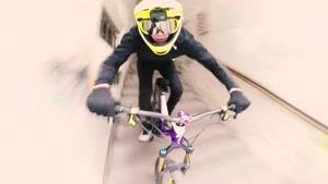 حرکات نمایشی  و دوچرخه سواری حرفه ایی Fabio Wibmer