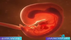 انیمیشن مایع آمنیوتیک در کیسه نگهدارنده جنین