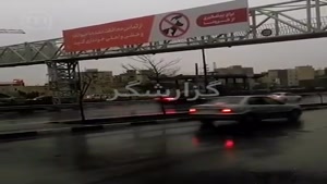 قابل توجه شهرداری تهران: حیوونا ناقل این ویروس نیستن