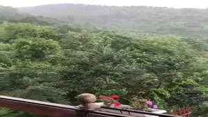 جابیت - اجاره ویلا جنگلی در رامسر با استخر روباز