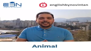 اصطلاحات انگلیسی مربوط به حیوانات (1)