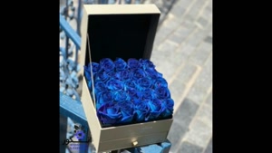 سفارش گل طبیعی در شهر شیراز    |  ارسال گل به شیراز  با ارسا