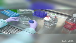 شرکت آراز شیمی گستر نمایندگی فروش محصولات گیبکو در ایران