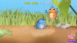 Roly poly