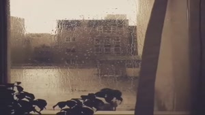 کلیپ باران پاییزی برای استوری / باران عاشقانه