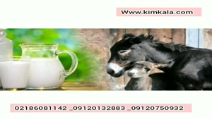 شیر قوی و تازه الاغ/09120750932/شیر مرغوب و اصل الاغ
