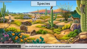 Ecosystems Vocabulary