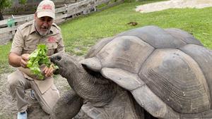 لاکپشت 104 ساله! 😲🐢